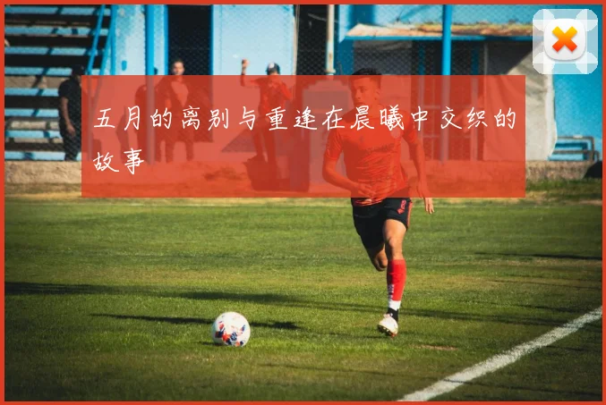 五月的离别与重逢在晨曦中交织的故事