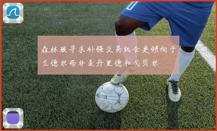 森林狼寻求补强交易机会更倾向于兰德尔而非麦丹里德和戈贝尔
